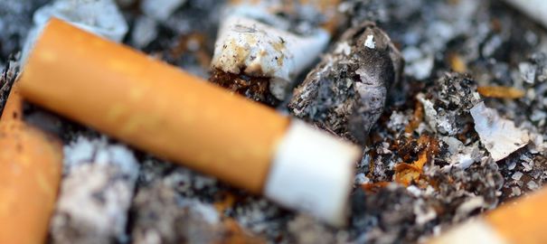 Article : Sots d&rsquo;Hommes ! M&eacute;gots morts !